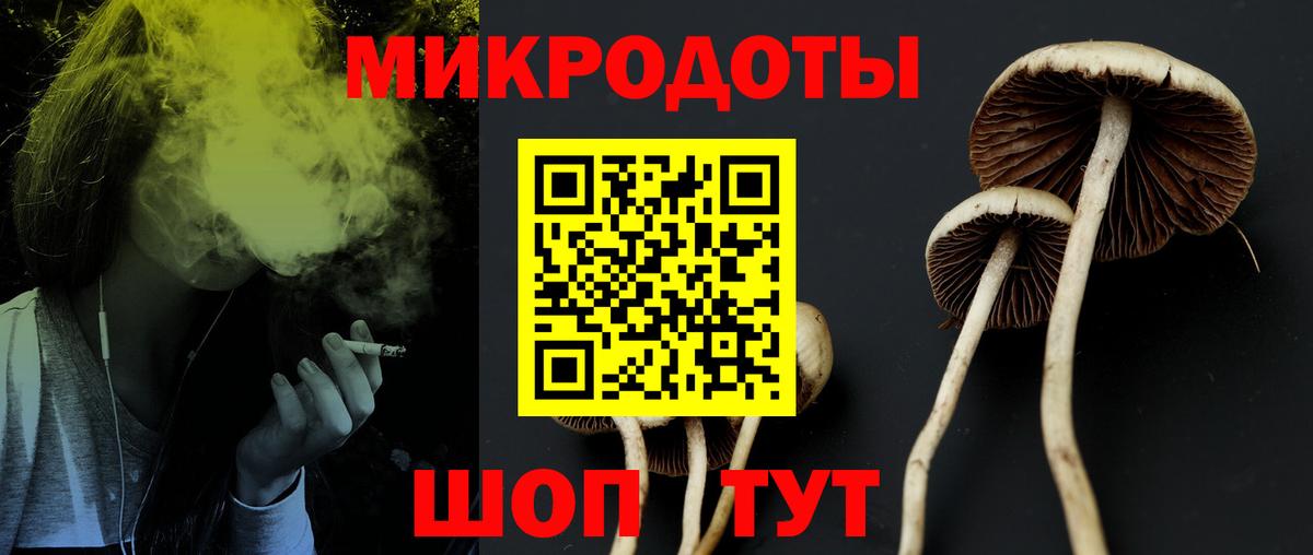 Галлюциногенные грибы Psilocybe  продажа наркотиков  Галлюциногенные грибы Cubensis  Краснодар  Вход с VPN 