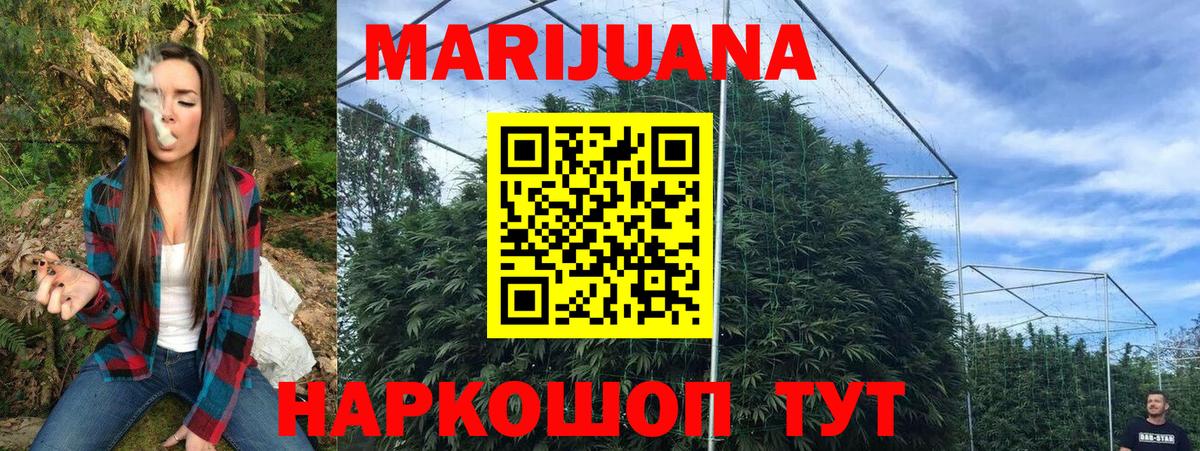Краснодар  Шишки марихуана THC 21%  МАРИХУАНА планчик  Вход с VPN 